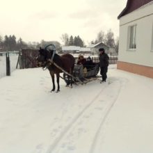 koni